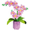 Picture of FLOWER ART - ORCHID